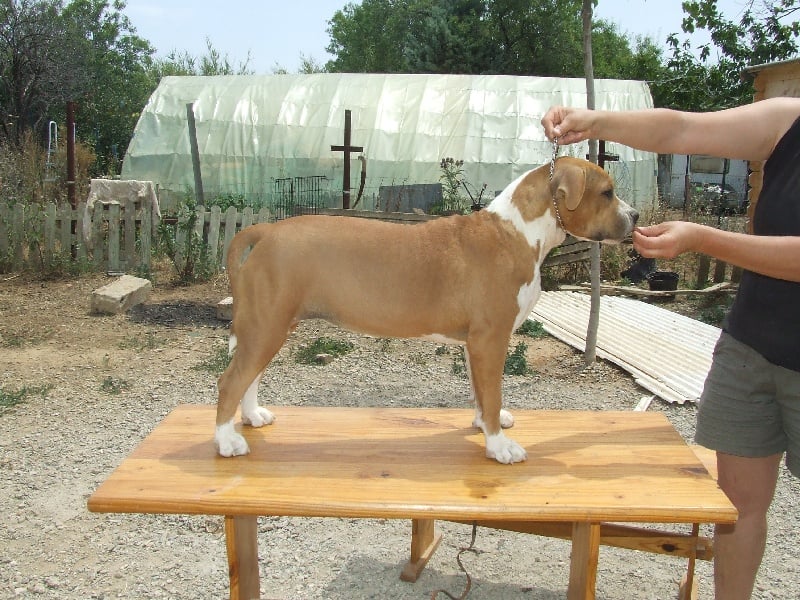 Publication : du chant de hienda