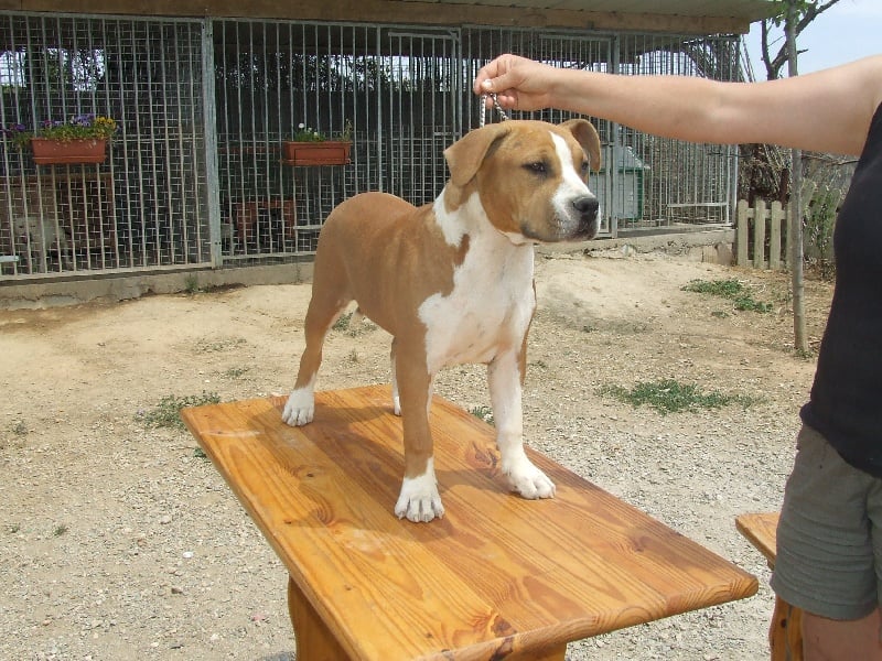 Publication : du chant de hienda