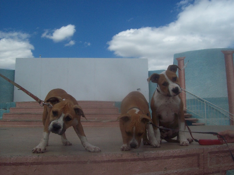 Publication : du chant de hienda