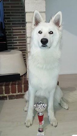 Numba du Royaume d'Usty - 4ème excellent