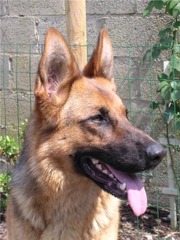 Vickie de gauchin verloingt