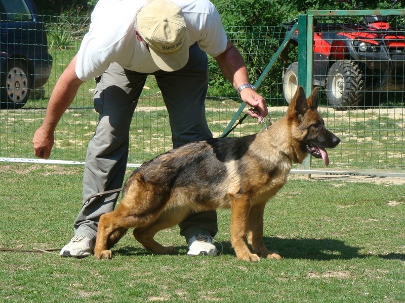 Flamme de gauchin verloingt - TRES PROMETTEUR