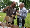 Buffalo belle du Vallon de Beaumont - Classe Puppy - Très Prometteur - MEILLEUR JEUNE