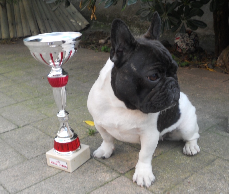 H'edelweiss des Forges d'Hephaistos - 1er Excellent - MEILLEUR JEUNE