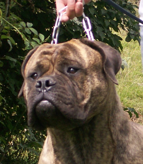 Publication : du Mont de l'Aigle Auteur : marmet isa