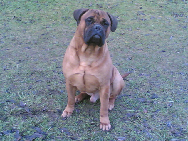 Publication : du Mont de l'Aigle