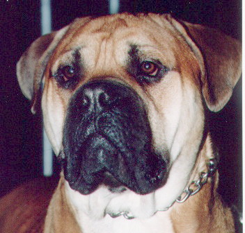 Publication : du Mont de l'Aigle