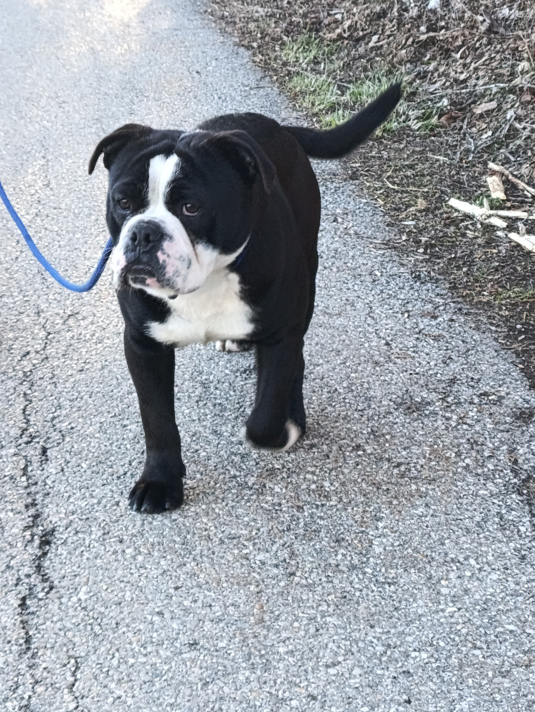 Archimède du Mont de l'Aigle