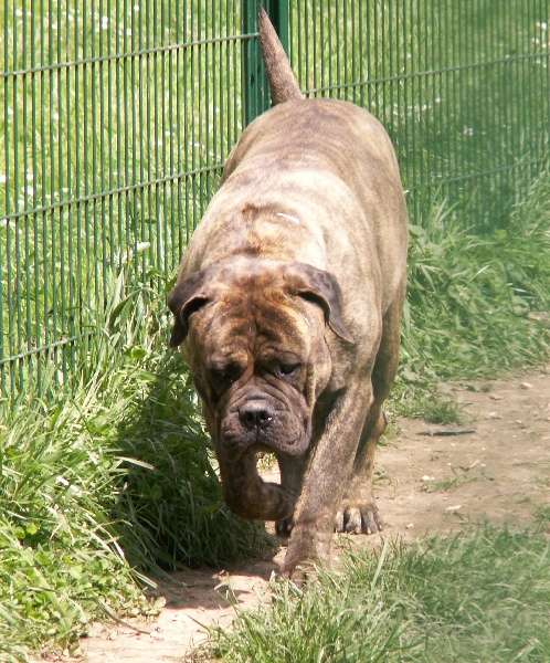 Publication : du Mont de l'Aigle Auteur : marmet isa