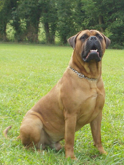 Publication : du Mont de l'Aigle