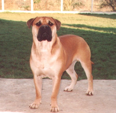 Publication : du Mont de l'Aigle