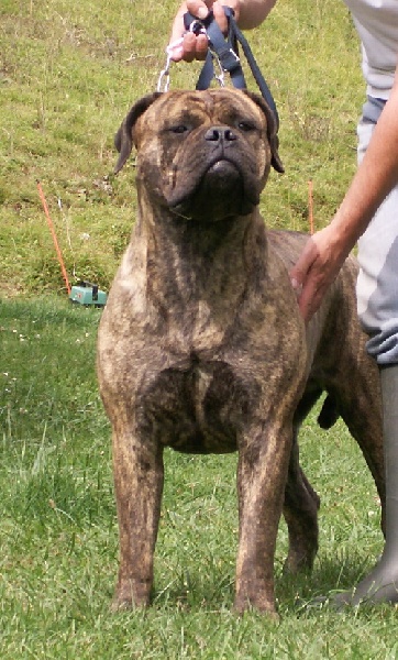 Publication : du Mont de l'Aigle Auteur : marmet isa