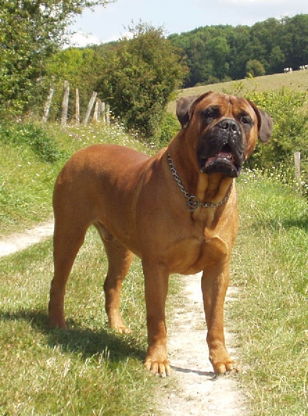 Publication : du Mont de l'Aigle