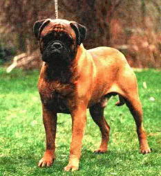 Publication : du Mont de l'Aigle