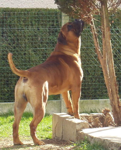 Publication : du Mont de l'Aigle