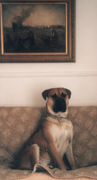 Publication : du Mont de l'Aigle