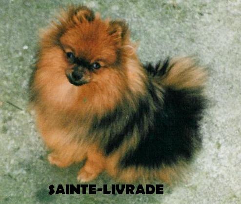 Publication : de sainte livrade Auteur : Daniel HENRY