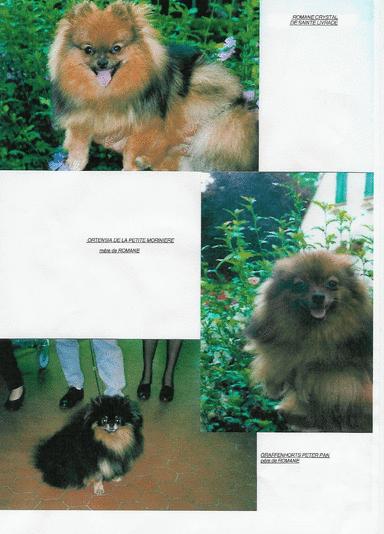 Publication : de sainte livrade Auteur : Daniel HENRY