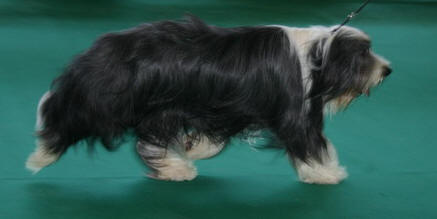 Publication : of Sheytane