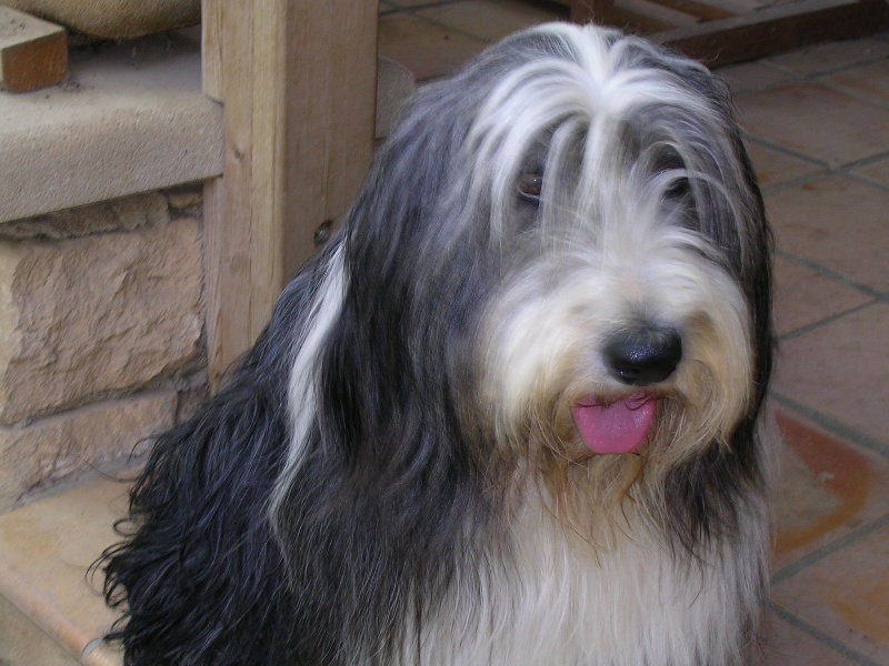 Publication : of Sheytane