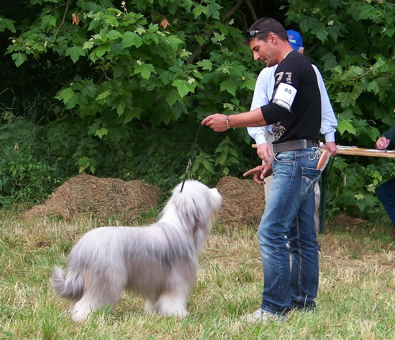 CH. rosewood pearl's Ixcellium - 1er Excellent, Meilleur Jeune et 2eme du Groupe