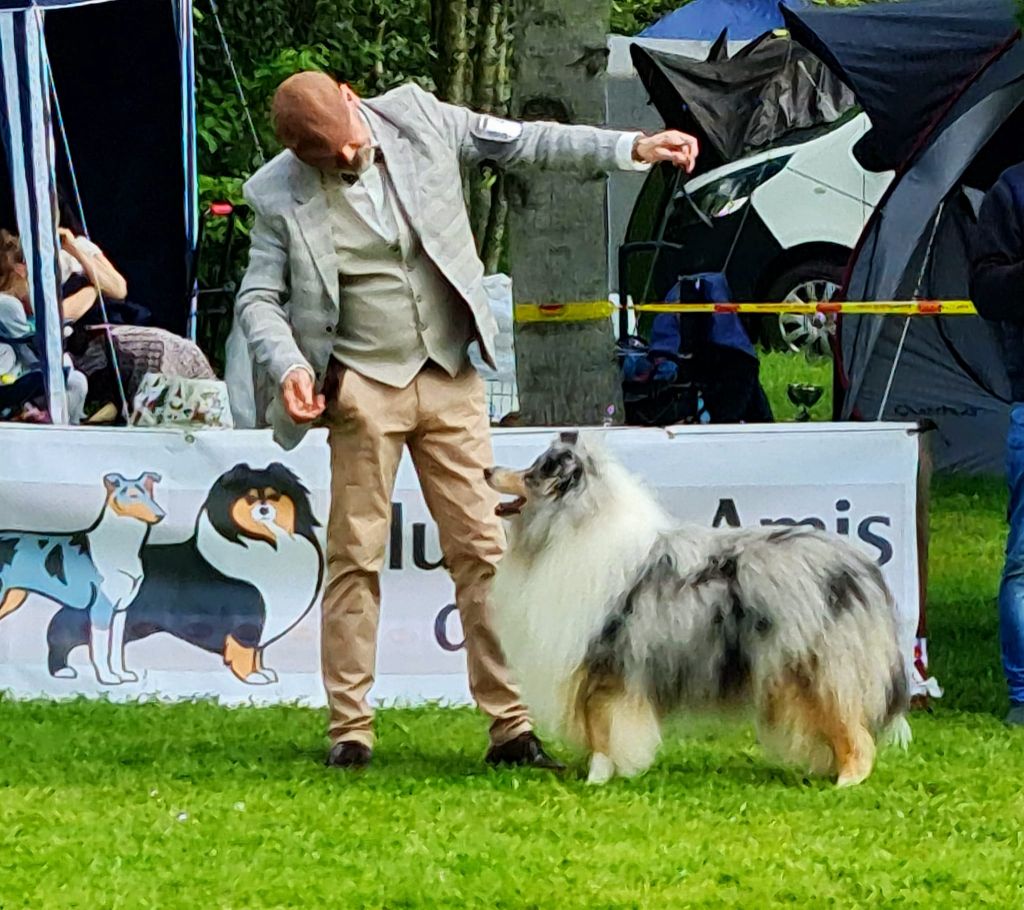 Publication : de la Fleur d'Ecosse