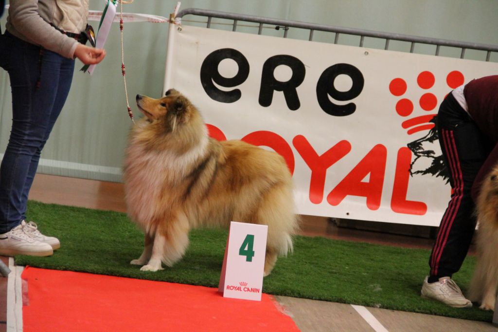 Penny lane de la Fleur d'Ecosse - 4ème excellent/12