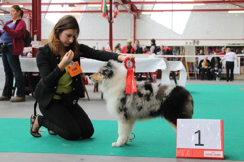 Juste une illusion de la Fleur d'Ecosse - 1ère TP + Meilleur baby
