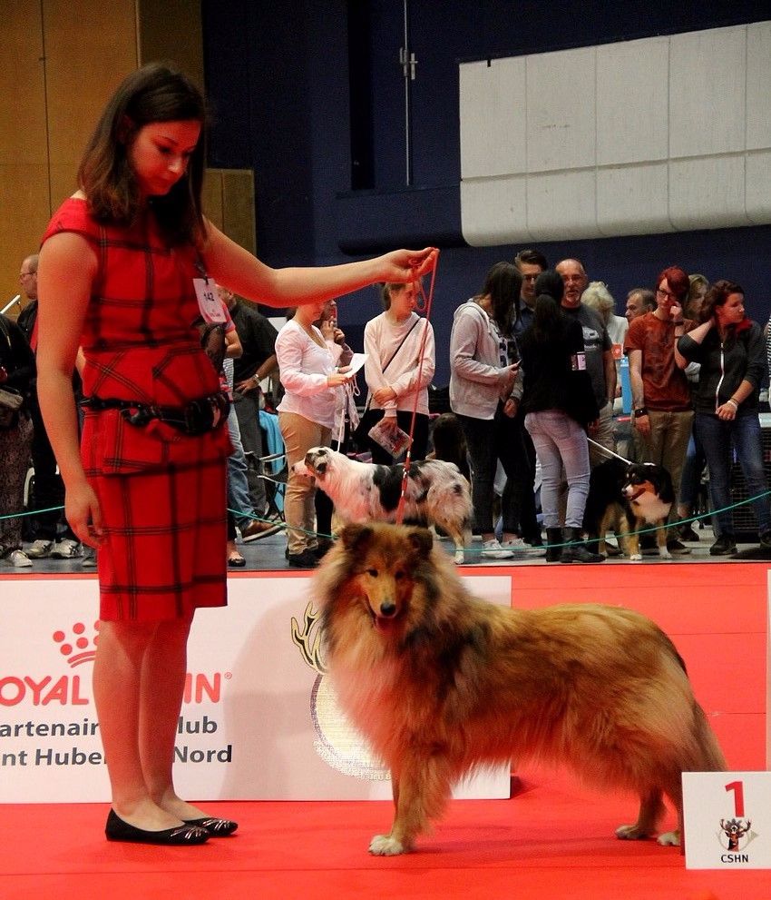 Ma plus belle histoire d'amour de la Fleur d'Ecosse - 1ère exc + meilleur jeune