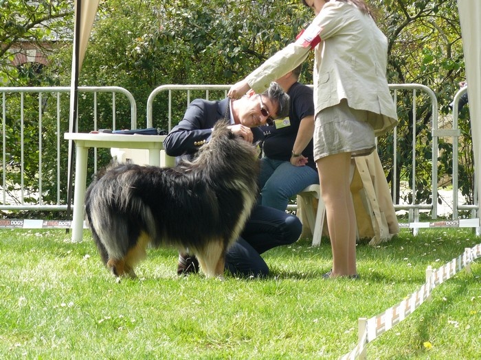 Ey jude d'aubin st vaast - Excellent