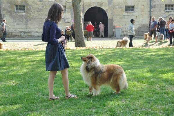 Fantastic charm de la Fleur d'Ecosse - Excellent