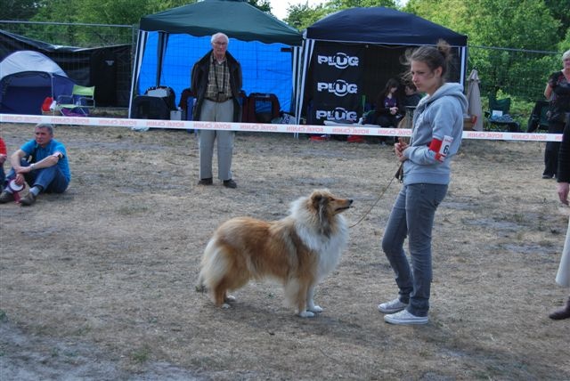 Fantastic charm de la Fleur d'Ecosse - Excellente