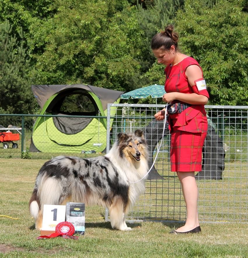 Juste une illusion de la Fleur d'Ecosse - 1ère excellente
