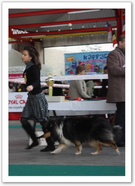 Ey jude d'aubin st vaast - Prometteur