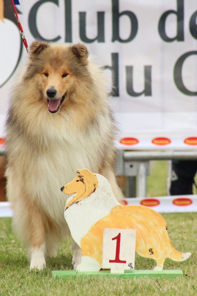 Penny lane de la Fleur d'Ecosse - 1ère excellent