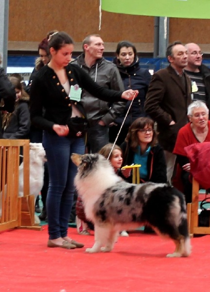 Juste une illusion de la Fleur d'Ecosse - TP + Meilleure baby