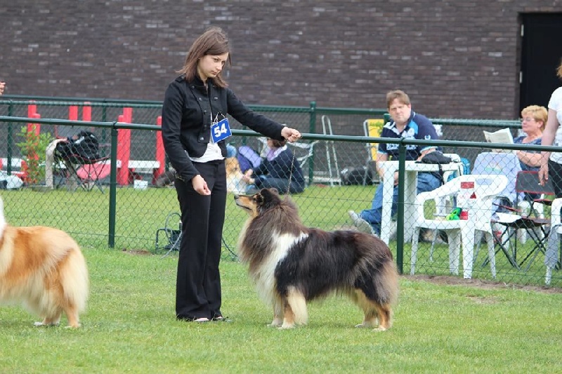 Ey jude d'aubin st vaast - Excellent