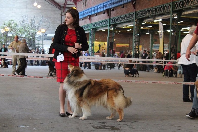 Alizée de la bergerie des quatre vents - 1ère excellent
