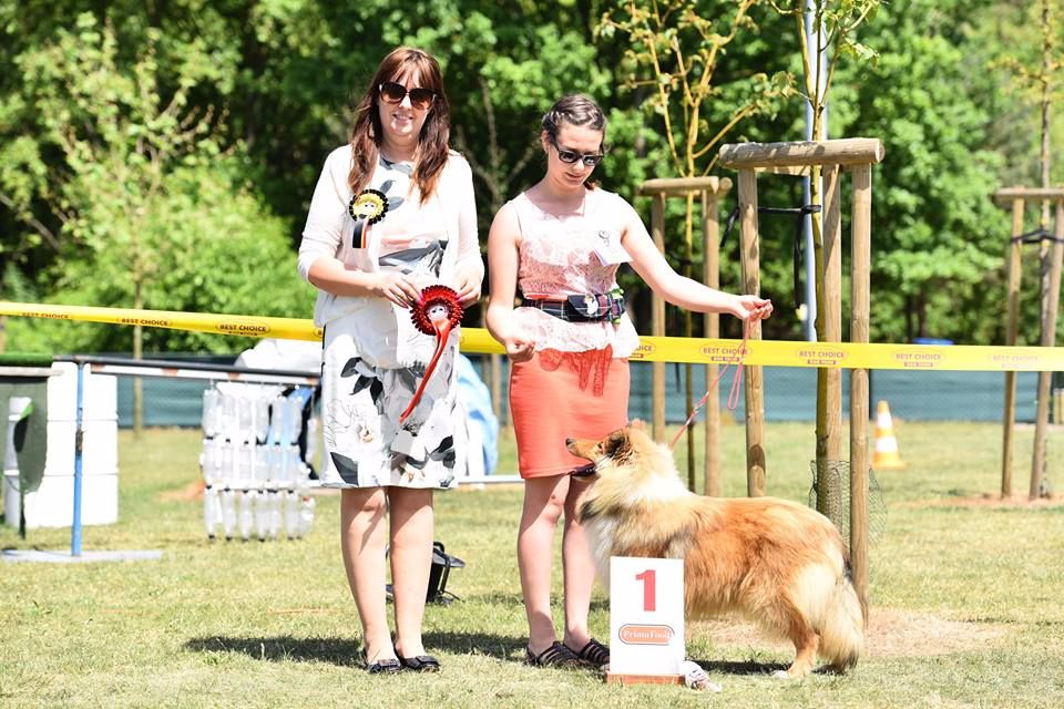 Ma plus belle histoire d'amour de la Fleur d'Ecosse - 1ère TP