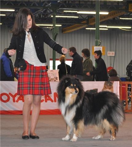 Ey jude d'aubin st vaast - 3eme excellente