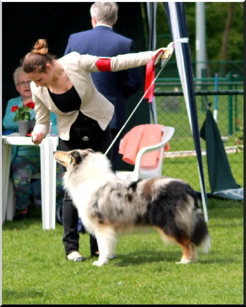 Juste une illusion de la Fleur d'Ecosse - 1ère TP + Meilleur puppy