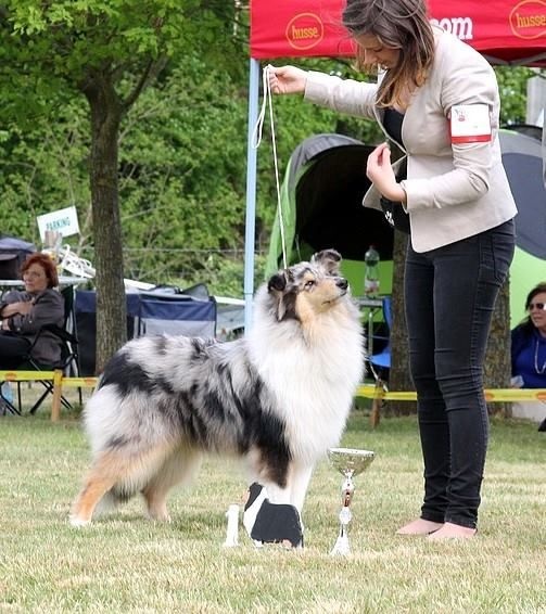 Juste une illusion de la Fleur d'Ecosse - 1ère TP /5