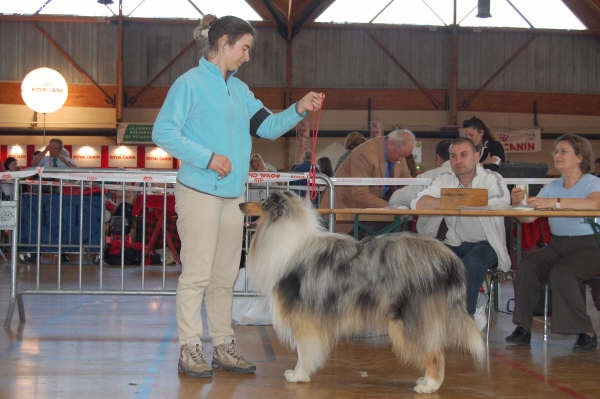 Bliss du val des petits génies - 3eme exvellent