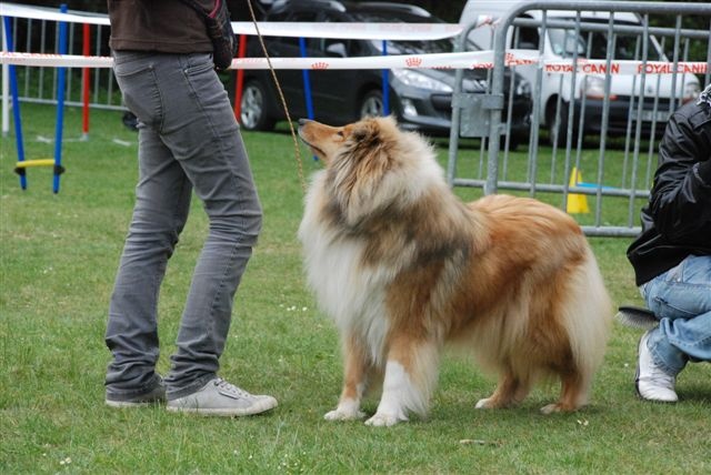 Fantastic charm de la Fleur d'Ecosse - 6eme excellente + confirmée