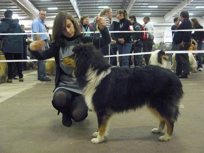 Ey jude d'aubin st vaast - Très-Prometteur