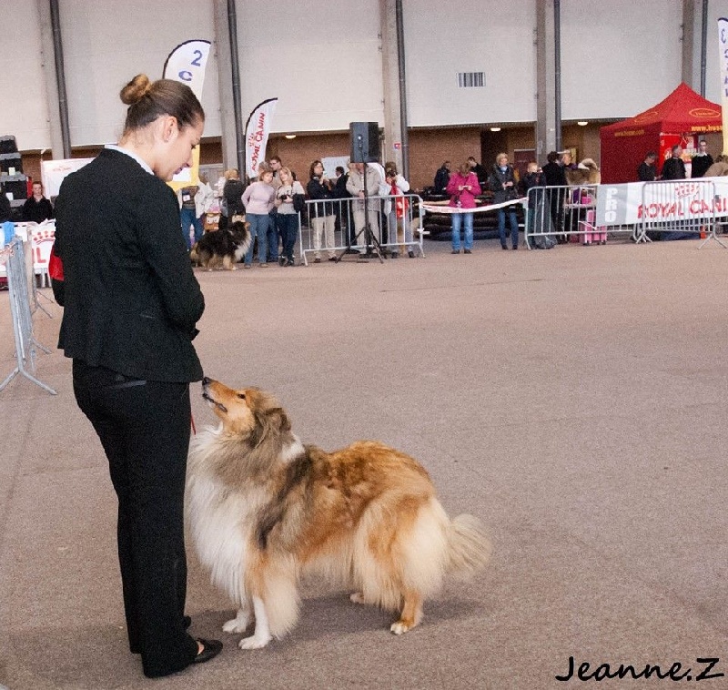 Fantastic charm de la Fleur d'Ecosse - 2ème exc + RCACS