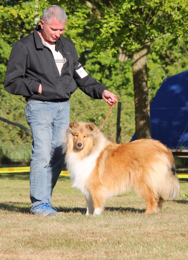 Maleana petite fleur des vallées d'Atrébatie - excellent