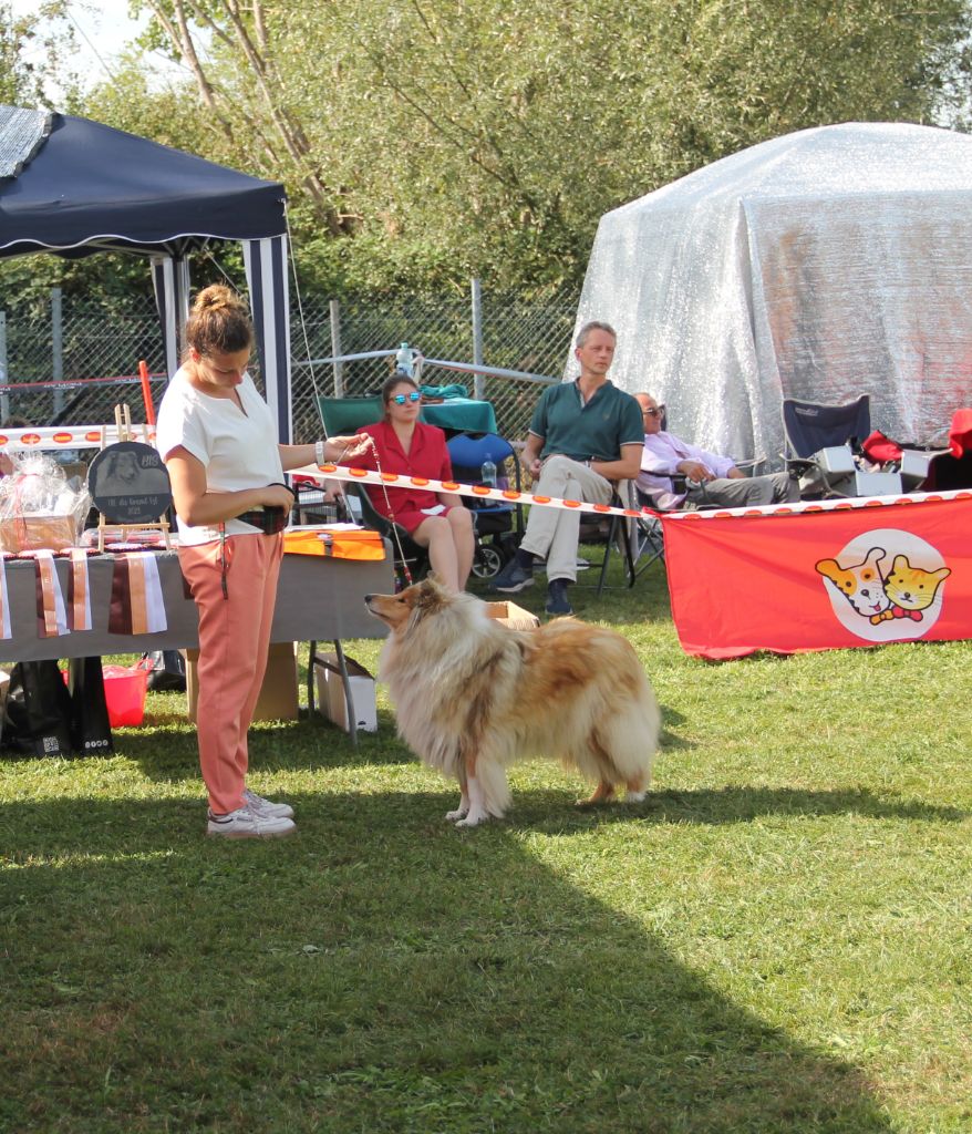 Penny lane de la Fleur d'Ecosse - Excellent