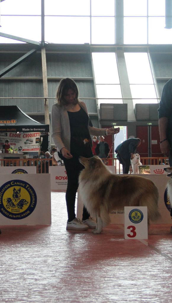 Penny lane de la Fleur d'Ecosse - 3ème excellent