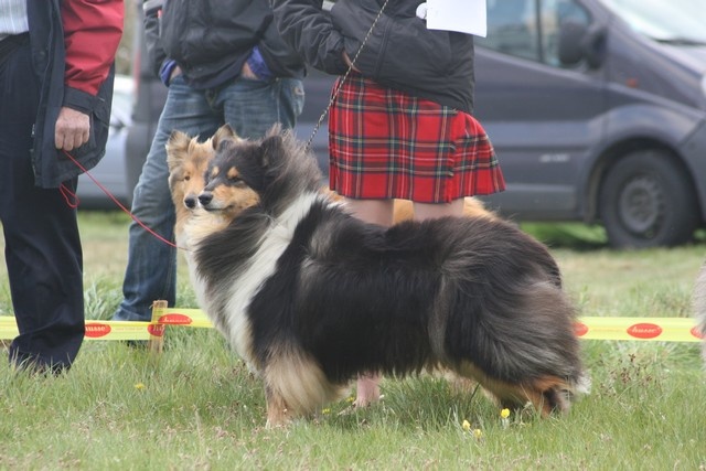 Ey jude d'aubin st vaast - Excellent